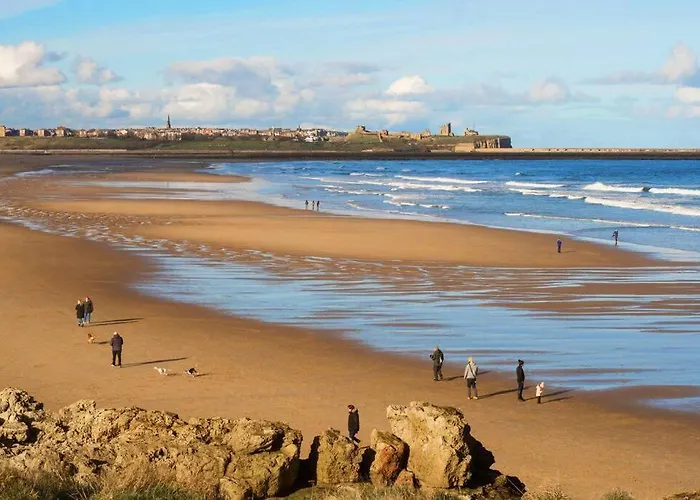 The Seaview - South Shields